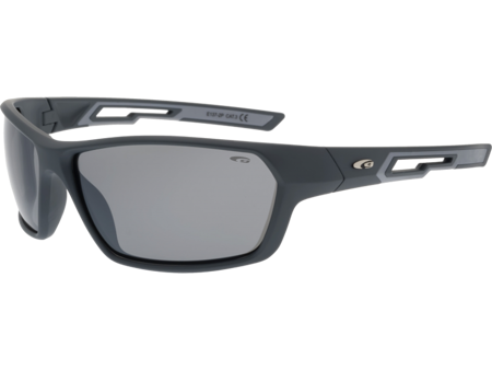 Okulary przeciwsłoneczne Goggle E137-2P 